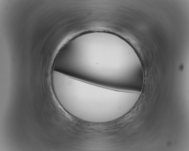 X0000097901191200803140959
