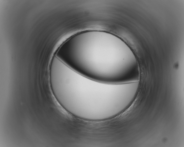 X0000097901192200803140959