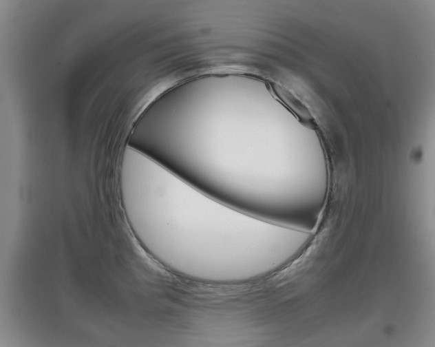X0000097901193200803140959