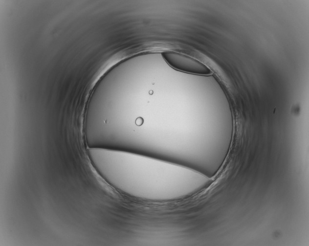 X0000097901194200803140959