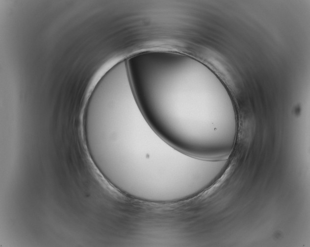 X0000097901196200803140959