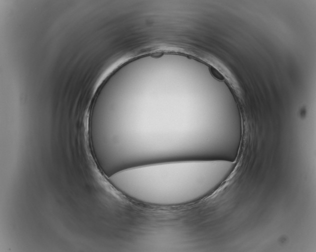 X0000097901198200803140959