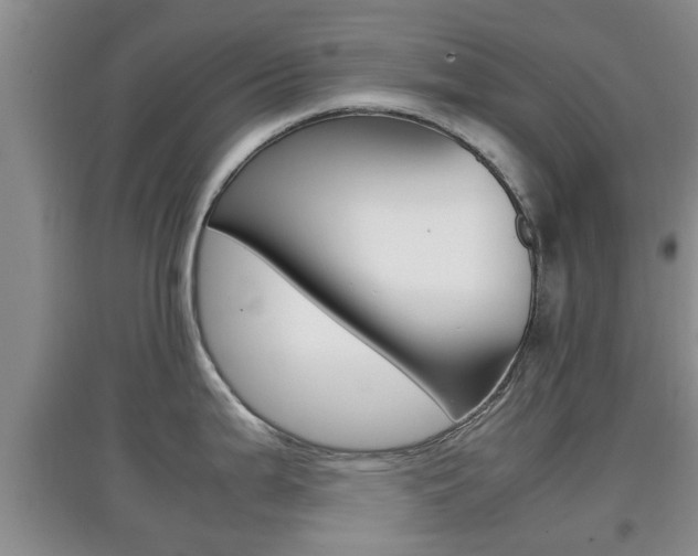 X0000097901199200803140959