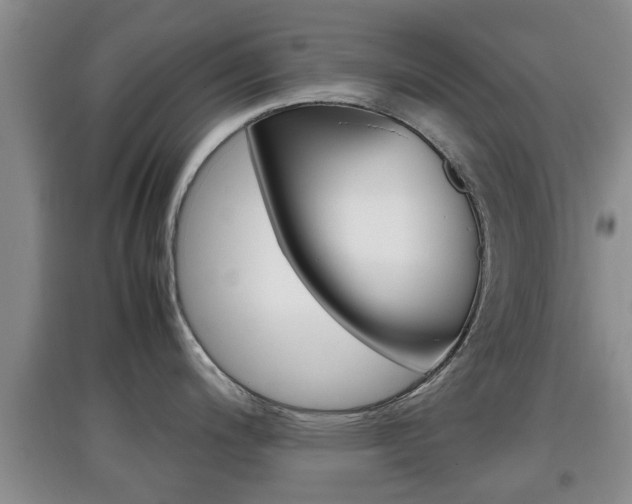 X0000097901200200803140959