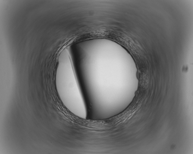X0000097901201200803140959