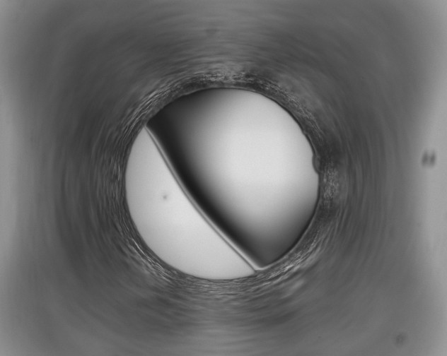 X0000097901202200803140959
