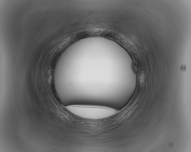 X0000097901204200803140959