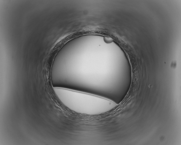 X0000097901206200803140959