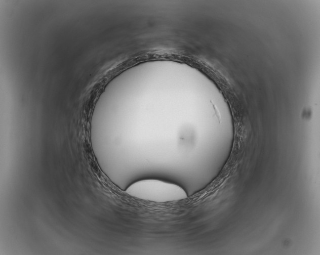 X0000097901207200803140959