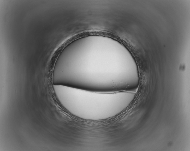 X0000097901208200803140959