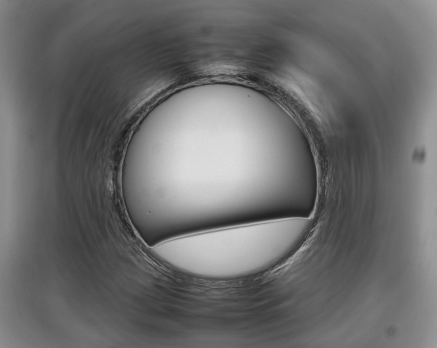 X0000097901209200803140959