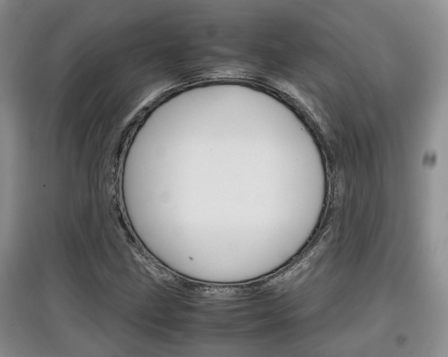 X0000097901211200803140959