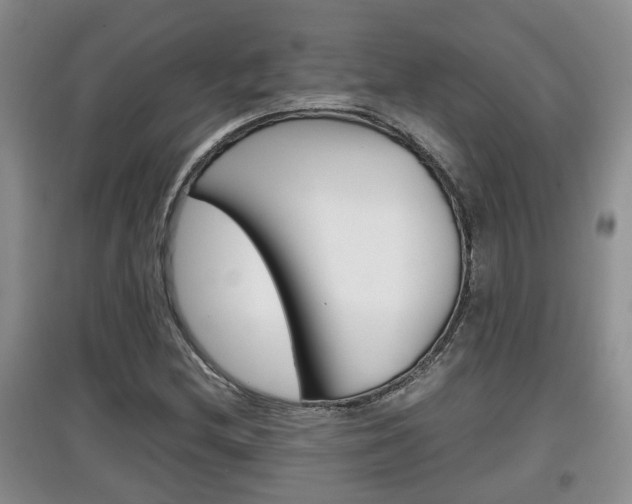 X0000097901212200803140959