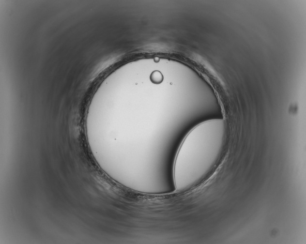 X0000097901213200803140959