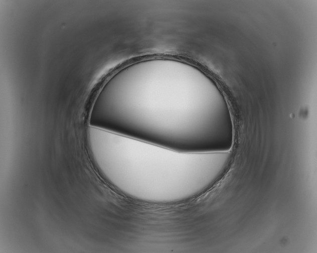 X0000097901214200803140959