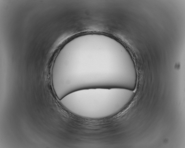 X0000097901215200803140959