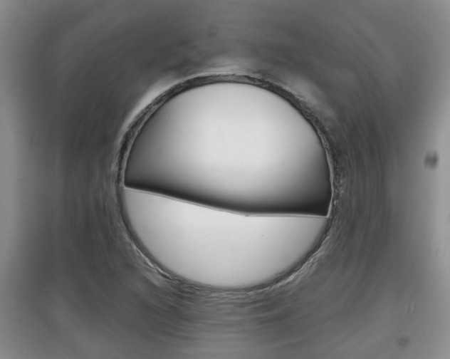 X0000097901216200803140959