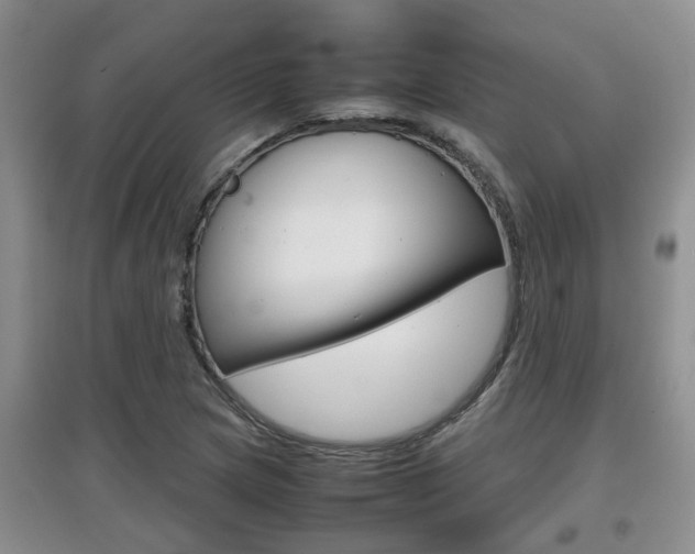 X0000097901217200803140959