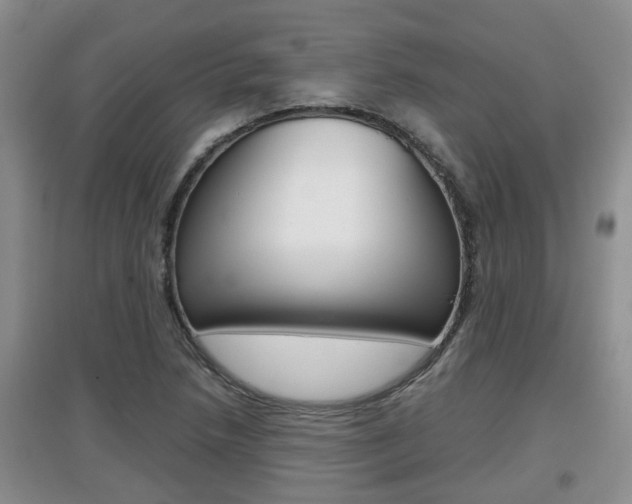 X0000097901218200803140959