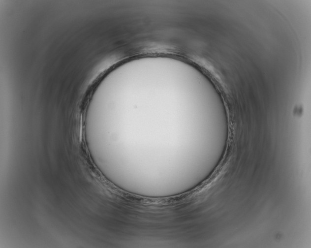 X0000097901219200803140959