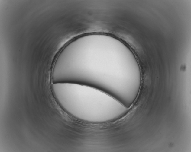X0000097901220200803140959