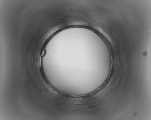 X0000097901221200803140959