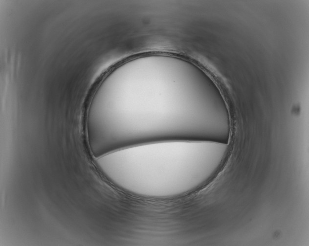X0000097901222200803140959