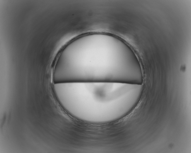 X0000097901223200803140959