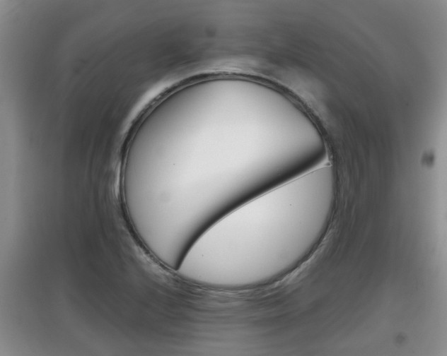 X0000097901224200803140959