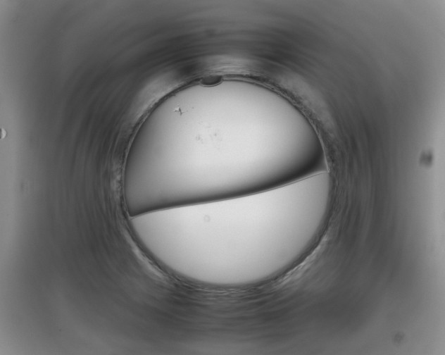 X0000097901225200803140959