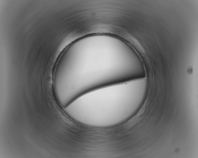 X0000097901226200803140959