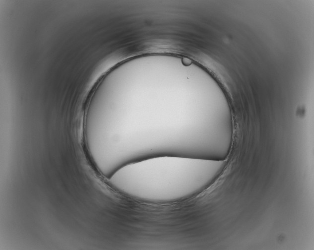 X0000097901227200803140959