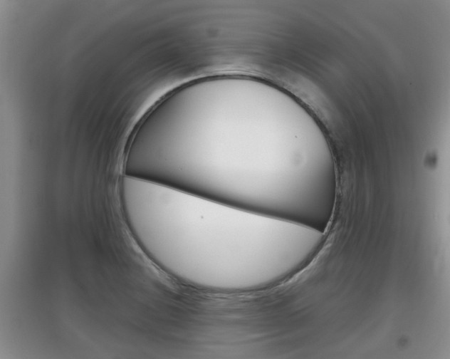 X0000097901228200803140959