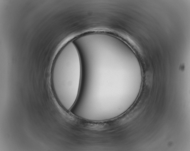 X0000097901229200803140959