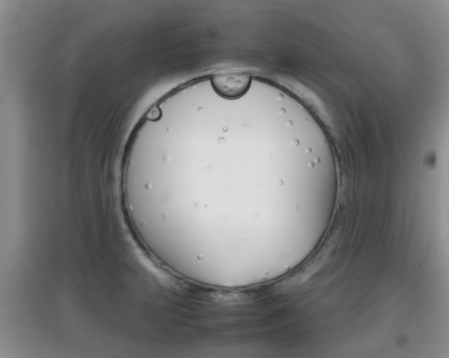 X0000097901231200803140959