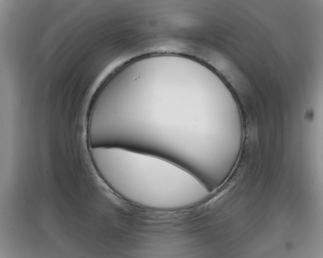 X0000097901232200803140959