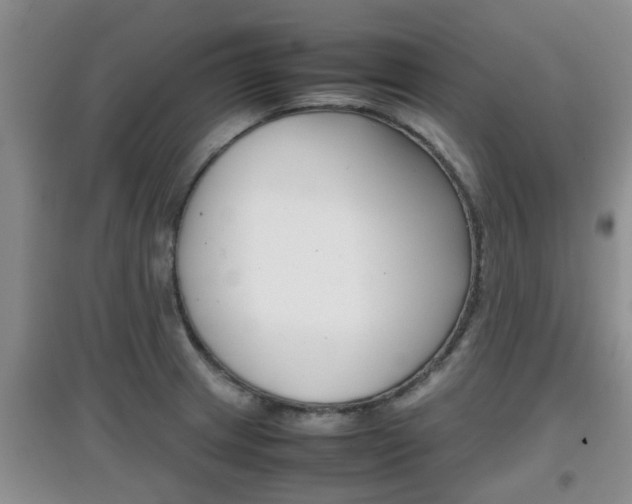 X0000097901233200803140959