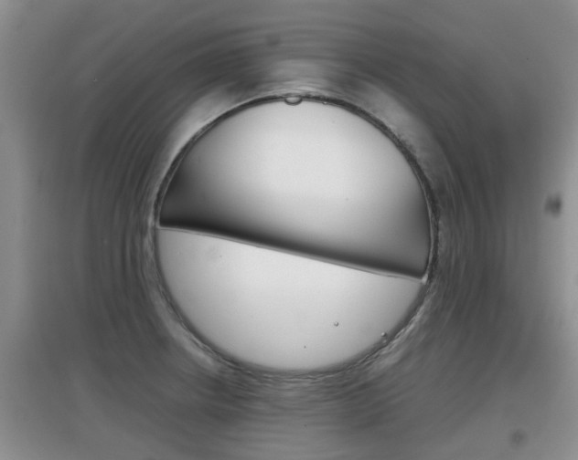 X0000097901234200803140959