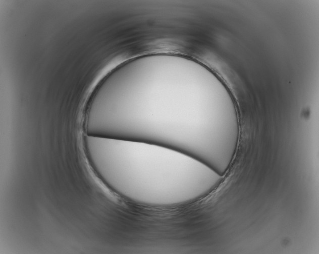 X0000097901235200803140959