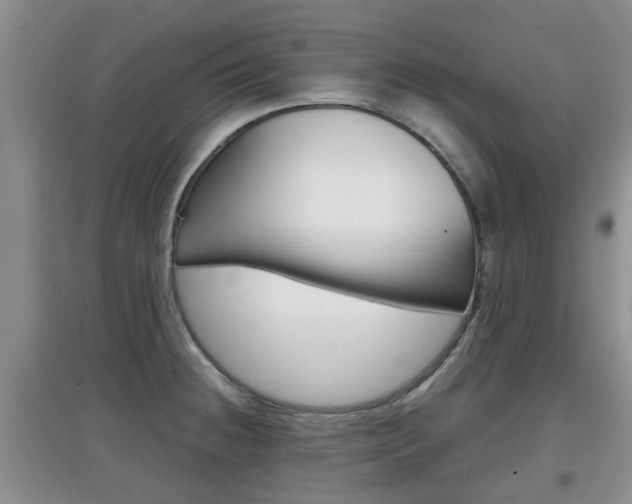 X0000097901236200803140959