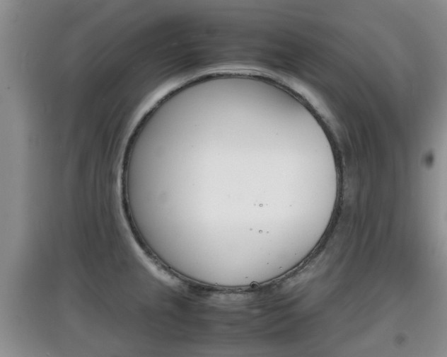 X0000097901237200803140959