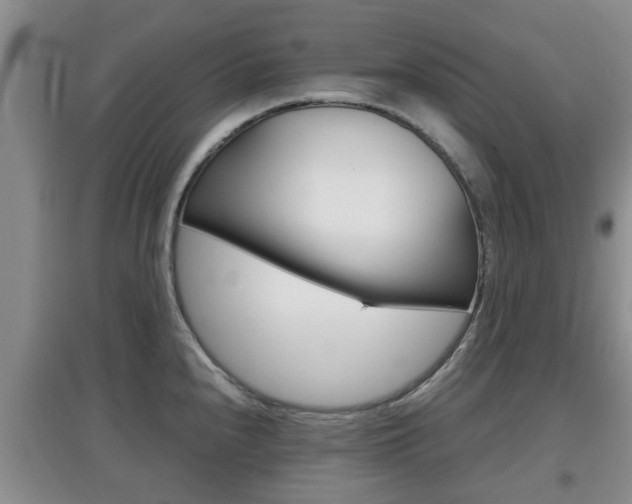 X0000097901240200803140959