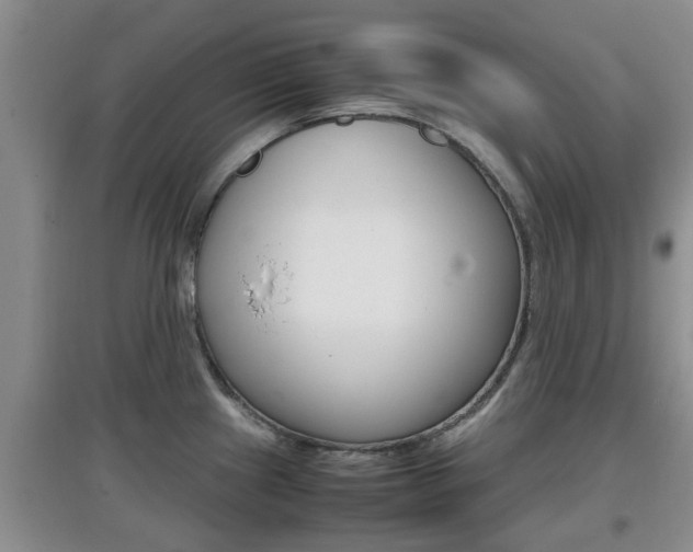 X0000097901241200803140959