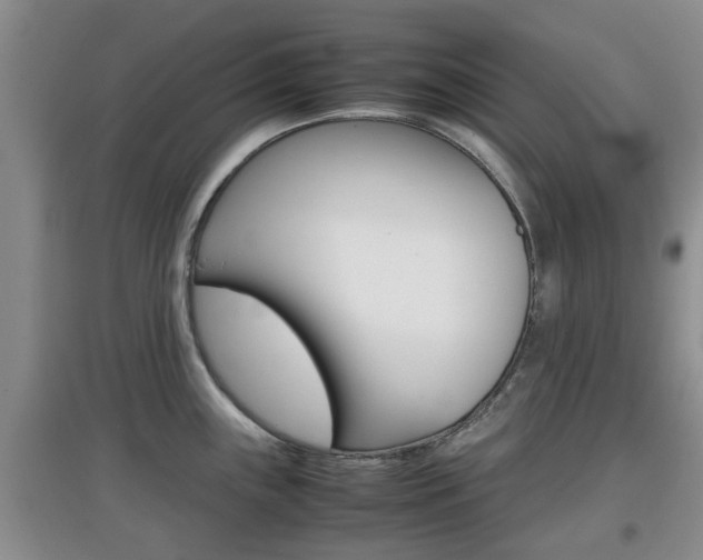 X0000097901243200803140959