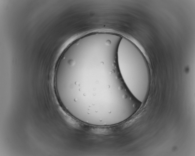 X0000097901245200803140959