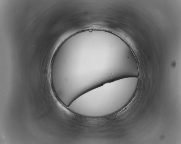 X0000097901247200803140959