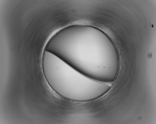 X0000097901248200803140959