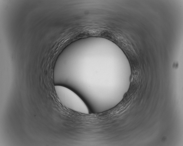X0000097901249200803140959