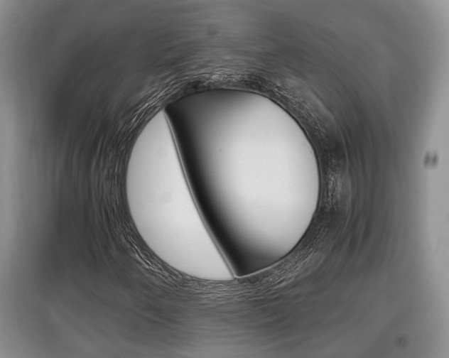 X0000097901250200803140959