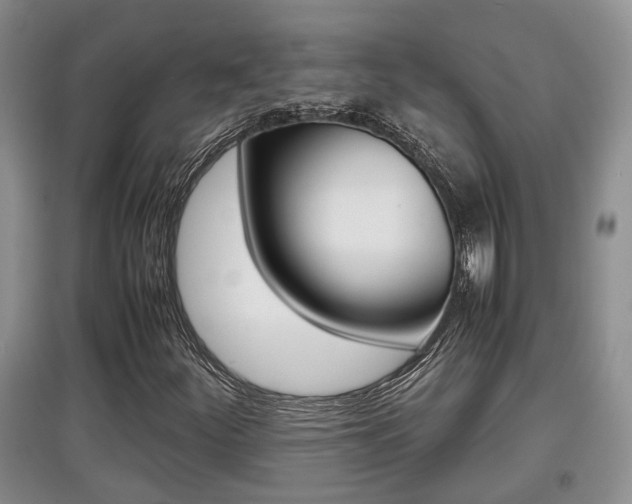 X0000097901252200803140959